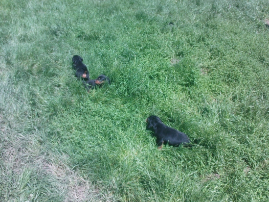 Konečne svieti slniečko a my sme vonku.