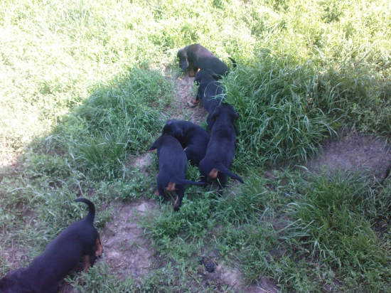 Dnes sme dovršili šesť týždňov