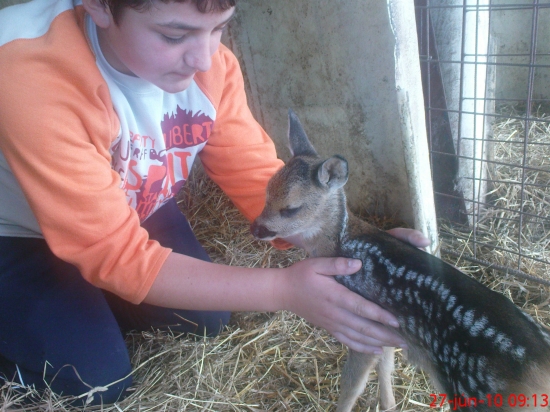 Papá a drží sa dobre.