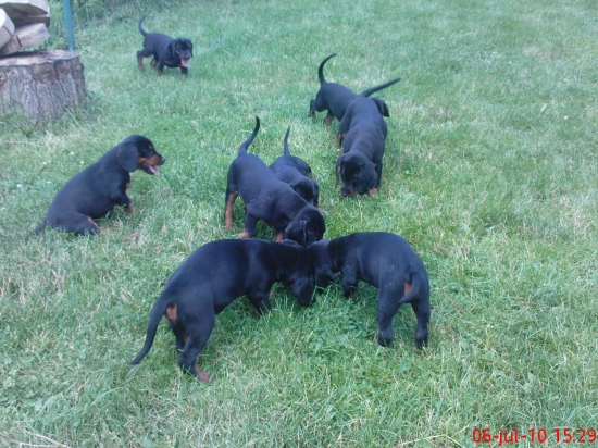 Vonku je nám najlepšie.