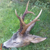 Dnešné úspešné ráno