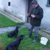 Mladý kopoviar pri výcviku