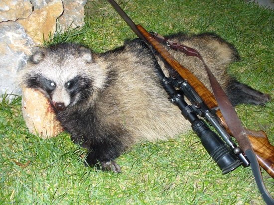 Prvý v našom revíri