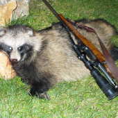 Prvý v našom revíri