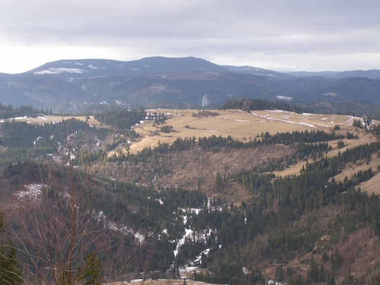 poľana
