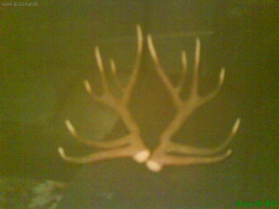 Starkeho a ocov ulovok