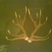 Starkeho a ocov ulovok