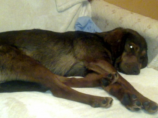 Po dobrej praci   odpočinok paláci :-D