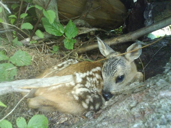 to najlepsie na Hornej orave