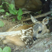 to najlepsie na Hornej orave