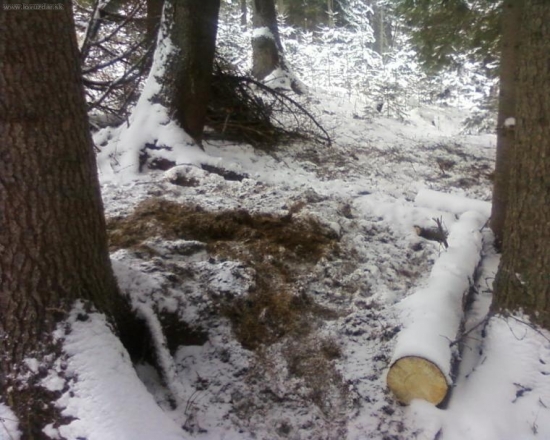 skuška ci budu brat na silaš