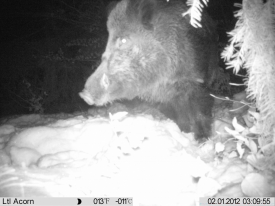 taký malý kňourek :)