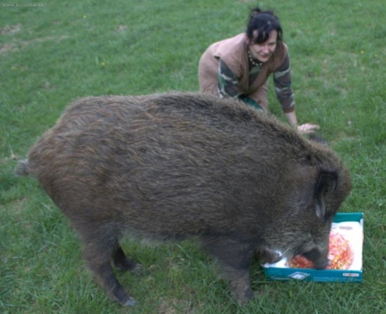 JA A MOJA SASENKA
