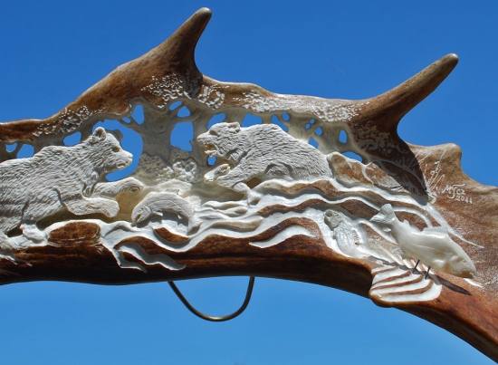 když už táhnou ti lososi