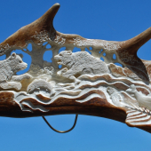 když už táhnou ti lososi