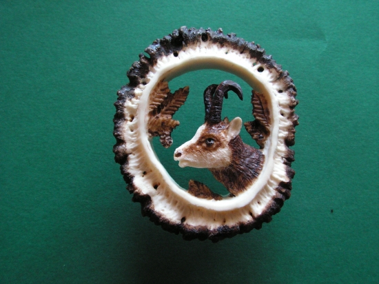 i kamzík vypadá mořený slušně