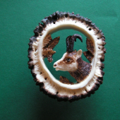 i kamzík vypadá mořený slušně