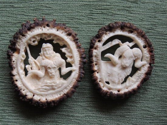 Argali - tyto bola poputují až do dalekého Tadžigistánu