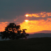 Petrovany západ slunce