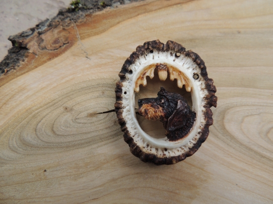 něco pro milovníky