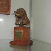 Zlatý kokr 2014