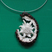 myška začala,já dodělal