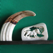 vzpomínka na Afriku-kel prasete bradavičnatého a řezba do ho