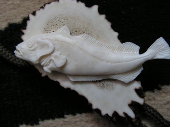 něco pro kolegy rybáře