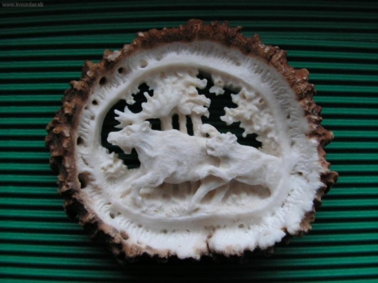 úspěšný útok predátora