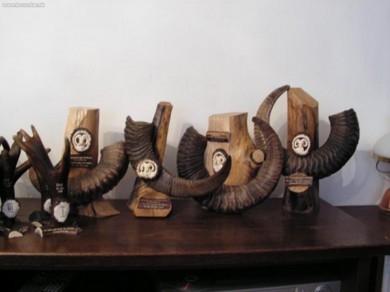 Poháry pro vítěze akademických soutěží Brno 2010