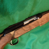 Sauer