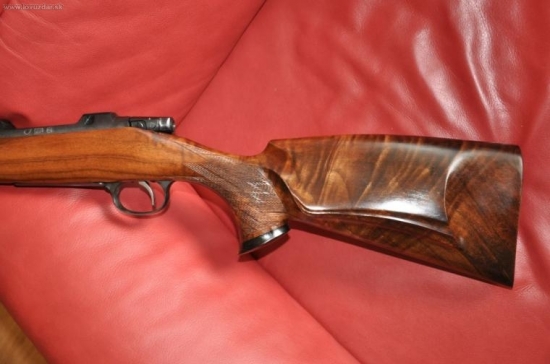 Takto může vypadat 550 FS