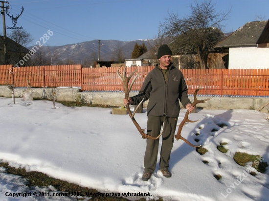 Poloninské zhody.