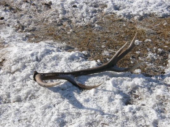 Radšej dám druhý pohľad,kôli miestu nálezu.