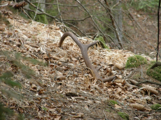 dnešný 10-toráčik
