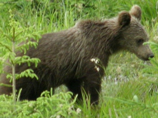 Krst nového foťáka.
