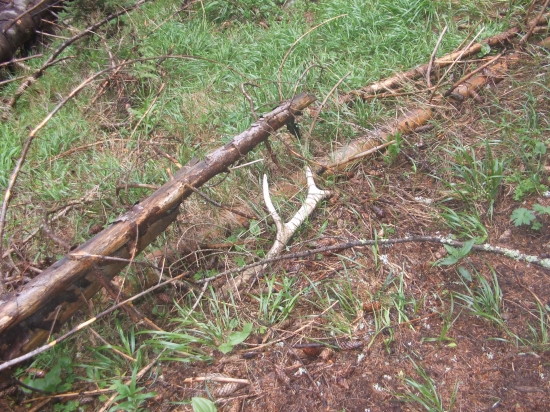 Už si poležal nejaký ten rôčik.