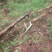 Už si poležal nejaký ten rôčik.