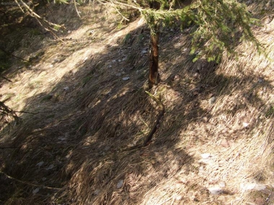 starší osmák na vexle