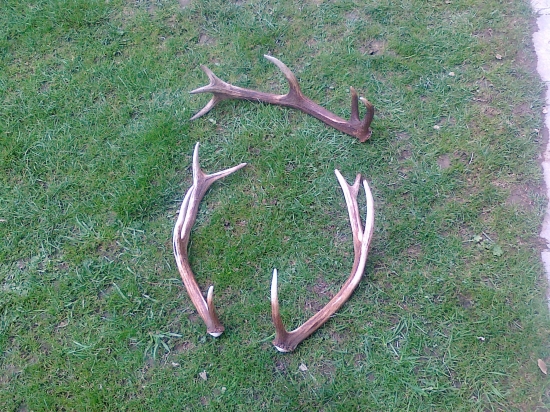 Dnes sa pošťastilo