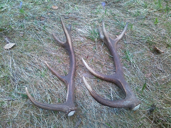 Dnes sa zasa pošťastilo