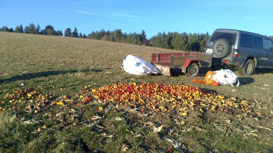 Trošku sme ešte zakŕmili
