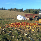 Trošku sme ešte zakŕmili