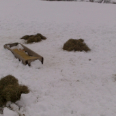 Včera som im trošku prilepšil