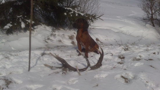 V sobotu sa pošťastilo :)