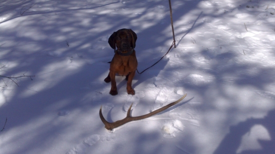 Dnes sa nám zasa podarilo