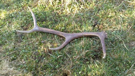 Ešte jeden zo včera