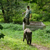 zachrana na poslednu chvilu.....