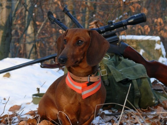 nebezpecna kombinacia.....