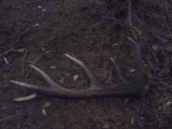 čekal tam dlouho, ale dočkal se ...